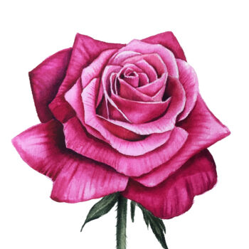 Painting titled "Watercolor Rose" by Anna Inozemtseva, Original Artwork, Watercolor