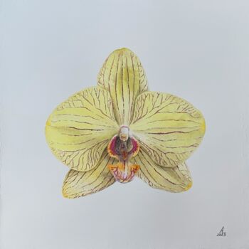 Painting titled "Yellow orchid" by Anna Levchuk, Original Artwork, Watercolor