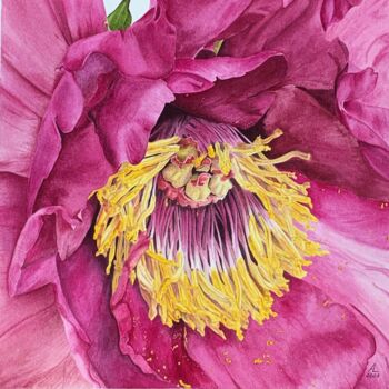 Painting titled "Peony" by Anna Levchuk, Original Artwork, Watercolor