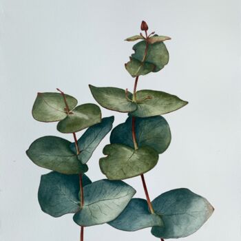 Ζωγραφική με τίτλο "Eucalyptus" από Anna Levchuk, Αυθεντικά έργα τέχνης, Ακουαρέλα
