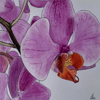 Painting titled "Orchid" by Anna Levchuk, Original Artwork, Watercolor