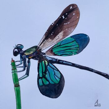 Painting titled "Dragonfly" by Anna Levchuk, Original Artwork, Watercolor