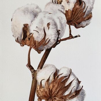 Painting titled "Cotton" by Anna Levchuk, Original Artwork, Watercolor
