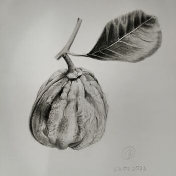 Dessin intitulée "Химерный Лимон" par Anna Mahova, Œuvre d'art originale, Crayon