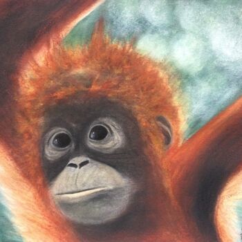 「Orangutan」というタイトルの絵画 Anna Isaacによって, オリジナルのアートワーク, パステル プレキシガラスにマウント