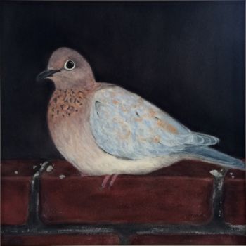 Painting titled "Laughing dove" by Anna Isaac, Original Artwork, Pastel Mounted on Cardboard
