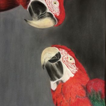 Malerei mit dem Titel "Scarlet macaw" von Anna Isaac, Original-Kunstwerk, Pastell