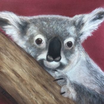 Malarstwo zatytułowany „Koala” autorstwa Anna Isaac, Oryginalna praca, Pastel Zamontowany na Szkło