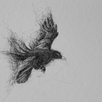 "Oiseau 1" başlıklı Resim Annabel Klein tarafından, Orijinal sanat, Mürekkep