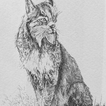 Dessin intitulée "Lynx" par Annabel Klein, Œuvre d'art originale, Encre