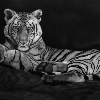 Dessin intitulée "Wild Tiger" par Annabel, Œuvre d'art originale, Crayon