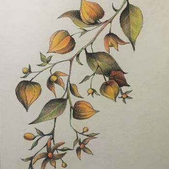 Peinture intitulée "Physalis blossom" par Hanna Taranishyna, Œuvre d'art originale, Pastel