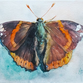 Malerei mit dem Titel ""Admiral" - butterf…" von Anna Ivanova, Original-Kunstwerk, Aquarell