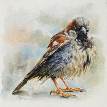 Pintura intitulada ""Sparrow" - Origina…" por Anna Ivanova, Obras de arte originais, Aquarela