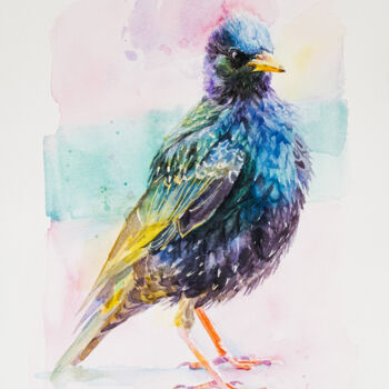 Painting titled ""Common Starling" -…" by Anna Ivanova, Original Artwork, Watercolor