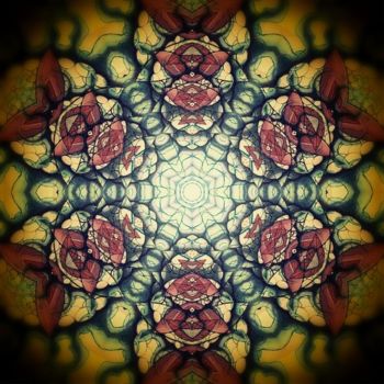 「Fractal Flower dark」というタイトルのデジタルアーツ Anni Boreikoによって, オリジナルのアートワーク, 2Dデジタルワーク