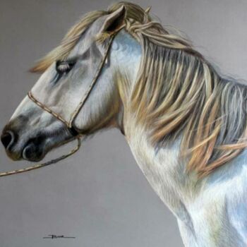 Drawing titled "Cheval de Camargue" by Anne Bour, Original Artwork, Pastel Mounted on Plexiglass
