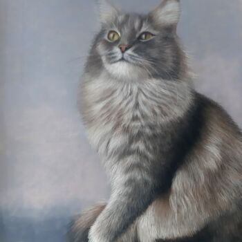 Drawing titled "Chat gris" by Anne Bour, Original Artwork, Pastel