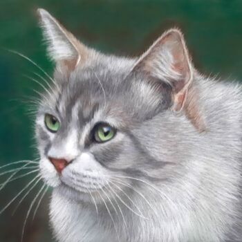 Drawing titled "Petit chat gris cla…" by Anne Bour, Original Artwork, Pastel
