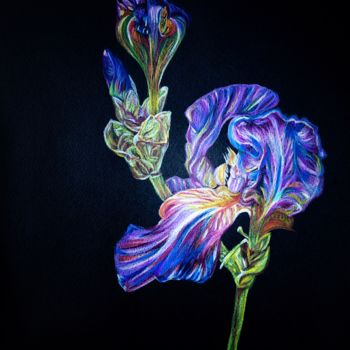 Pintura titulada "Iris crayonnés" por Anne Brigaud, Obra de arte original