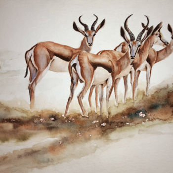 Painting titled "Springbok" by Anniegc, Original Artwork