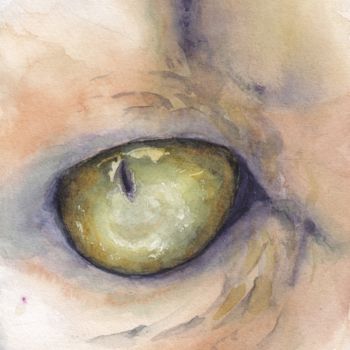 Painting titled "Cat Eye" by Anniegc, Original Artwork, Watercolor