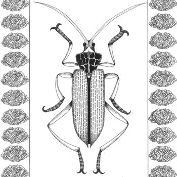 Dessin intitulée "mangeur de choux" par Anne Langérôme, Œuvre d'art originale, Encre