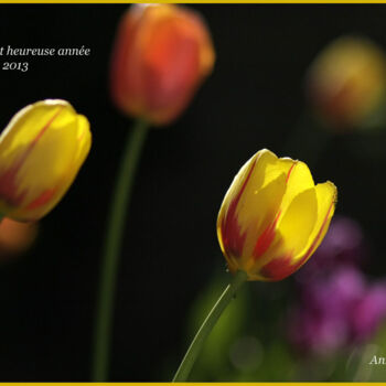 Digital Arts με τίτλο "Les tulipes de Laur…" από Anne Marie Mazzocchi, Αυθεντικά έργα τέχνης, Άλλος