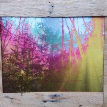 Collages intitulée "Forêt soleil #1" par Anne Maury, Œuvre d'art originale, Travail numérique 2D
