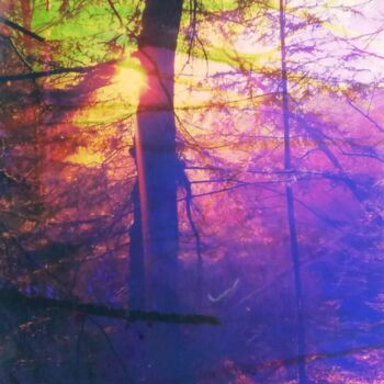 Collages intitulée "Forêt lumière du so…" par Anne Maury, Œuvre d'art originale, Travail numérique 2D