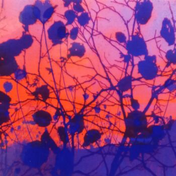 Collages titulada "Forêt bleue ciel ro…" por Anne Maury, Obra de arte original, Trabajo Digital 2D