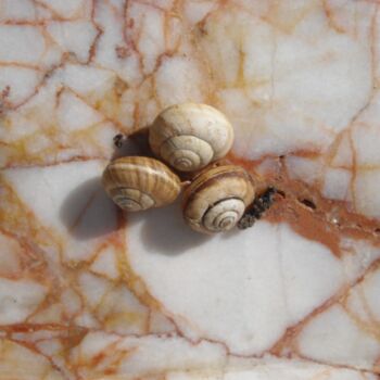 Photographie intitulée "escargot" par Anne Sarda, Œuvre d'art originale