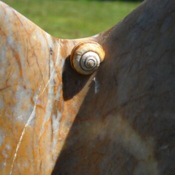 Photographie intitulée "escargot" par Anne Sarda, Œuvre d'art originale