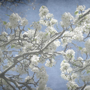 Digitale Kunst mit dem Titel "Spring" von Anne Seltmann, Original-Kunstwerk, Digitale Malerei