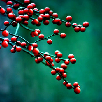 Digitale Kunst getiteld "Wildberries" door Anne Seltmann, Origineel Kunstwerk, Digitaal Schilderwerk