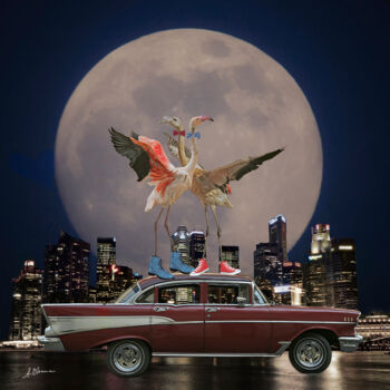 Collages getiteld "Dancing the night a…" door Anneke Bloema, Origineel Kunstwerk, Foto Montage