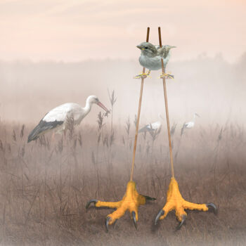 Digital Arts titled "De Grootste Vogel" by Anneke Bloema, Original Artwork, Photo Montage