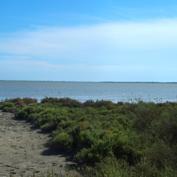 Photographie intitulée "Camargue sauvage" par Anne-Lise Rullière, Œuvre d'art originale, Photographie non manipulée