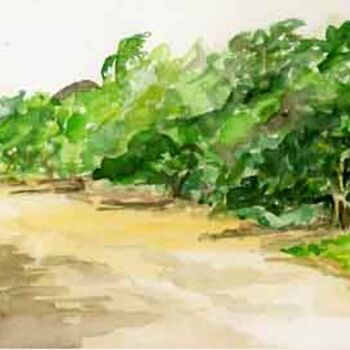 Malerei mit dem Titel "plage à Mayotte" von Anne Paul, Original-Kunstwerk