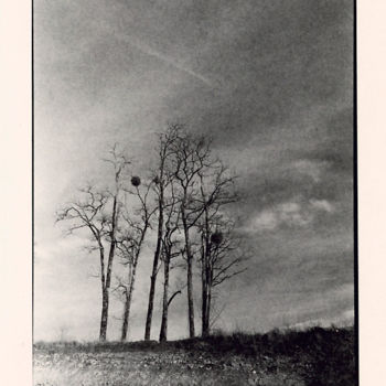 Photography titled "«Carrière» exlusive…" by Annette Van Casteren, Original Artwork, Analog photography