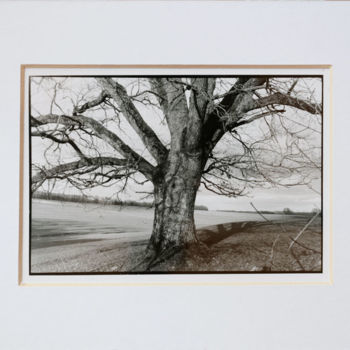 Fotografie mit dem Titel "« Oak » exclusive b…" von Annette Van Casteren, Original-Kunstwerk, Analog Fotografie