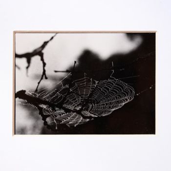 Photography titled "«Cobweb» exclusive…" by Annette Van Casteren, Original Artwork, Analog photography