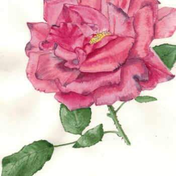 Peinture intitulée "rose" par Annette Bernard, Œuvre d'art originale, Aquarelle