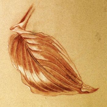 Disegno intitolato "FEUILLE PASTEL" da Annha, Opera d'arte originale