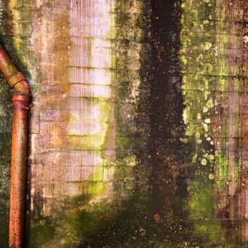 Photographie intitulée "La Végétation plaqu…" par Annie Gazé, Œuvre d'art originale, Photographie non manipulée Monté sur Al…