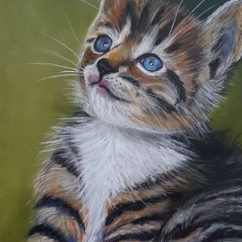Painting titled "chaton tigré" by Anny Dournon, Original Artwork, Pastel