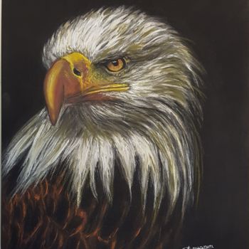 Painting titled "Aigle" by Anny Dournon, Original Artwork, Pastel