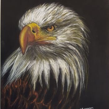 Peinture intitulée "Aigle" par Anny Dournon, Œuvre d'art originale, Pastel