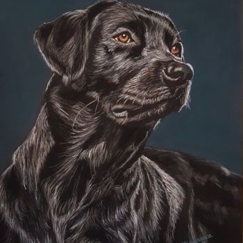 Painting titled "Labrador" by Anny Dournon, Original Artwork, Pastel