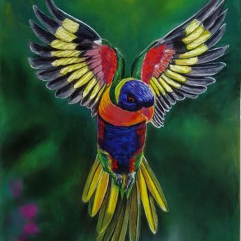 Peinture intitulée "loriquet tricolore" par Anny Dournon, Œuvre d'art originale, Pastel